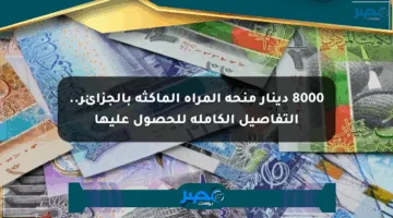 8000 دينار منحة المرأة الماكثة بالجزائر.. التفاصيل الكاملة للحصول عليها